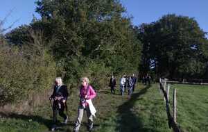 68e6152823d3c_IMG20251006WA0019.jpg